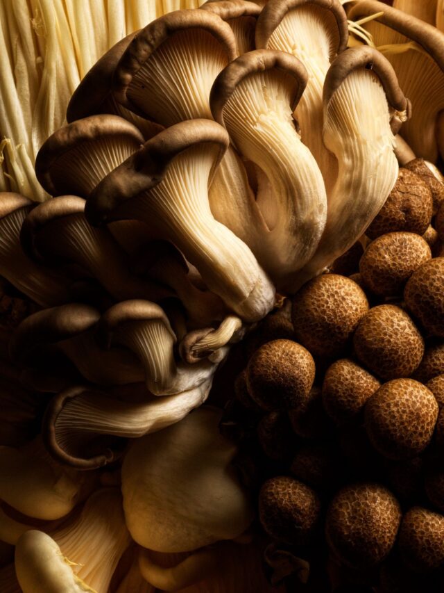 From forest to flame - flavour in its purest form.

Magma by Dany Karam opens 19th of November.

#magma  #danykaram  #cabravale